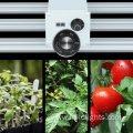 Hydroponic 600W LED Grow Lights